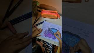 Golgi body - Ultrastructure #golgibody #golgiapparatus #cellorganelle #cellorganelles #cellstructure