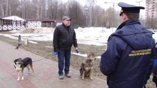 ТЫ с собакой? Иди лесом... ТЫ с собакой? Иди лесом...