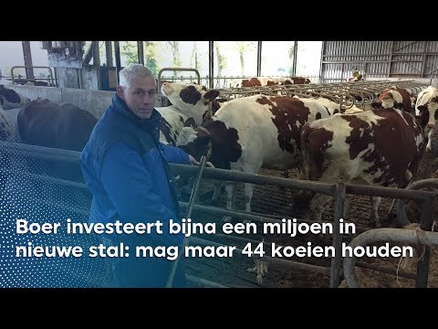 Boer investeert bijna één miljoen in zijn stal: er staan 44 koeien in | RTV Oost