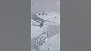 What REALLY Makes Ice Slippery?