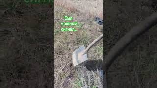 Мощный сигнал #metaldetecting #клад #природа #кладоискатель #коп #копатели #поискисокровищ