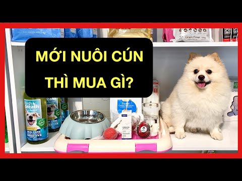 Video: Danh Sách Kiểm Tra Hiệu ứng Chó Con - Chuẩn Bị Cho Chó Con Mới