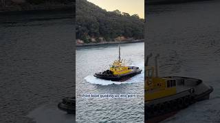 A pilot boat guiding us into port! #CruiseLife