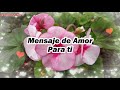 Mi Amor Este Video de Amor es Para ti 💖 TE AMO