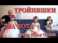 Тройняшки - Два кота (Илья Орлов автор)