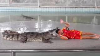 Million Years Stone Park &amp; Pattaya Crocodile Farm  -  Crocodile Show