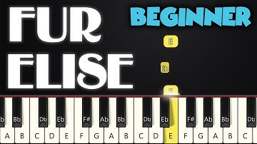 Fur Elise - Beethoven (Right Hand only) | BEGINNER PIANO TUTORIAL + SHEET MUSIC by Betacustic