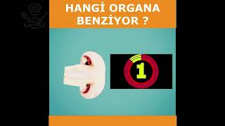 Hangi besin hangi organa benzer --- Benzediği organa şifa veren yiyecekler