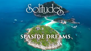 Dan Gibson’s Solitudes - Introspection | Seaside Dreams