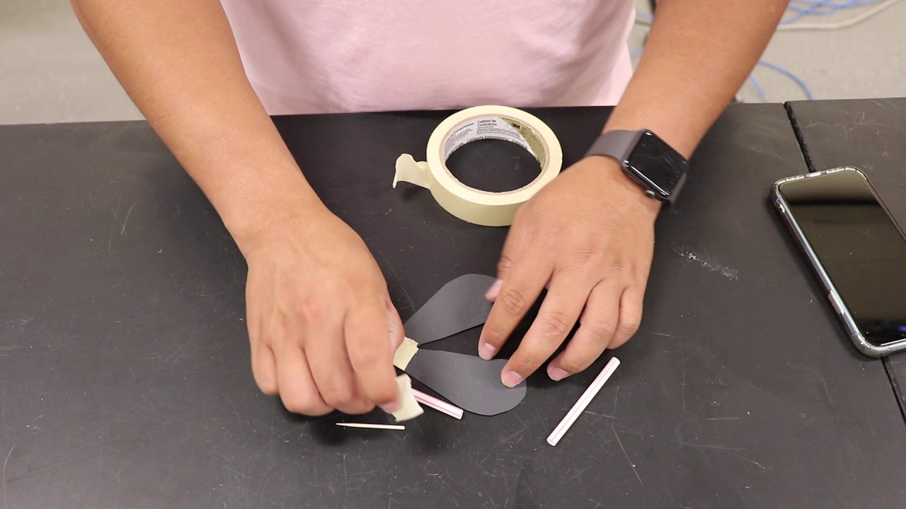 How To Make Fly Guy Wings How To Make Fly Guy Wings