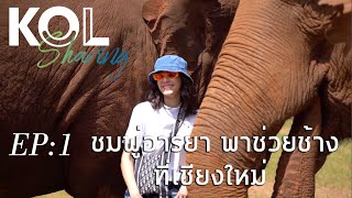 KOL Sharing EP.1: เเม่ชมช่วยช้างที่เชียงใหม่