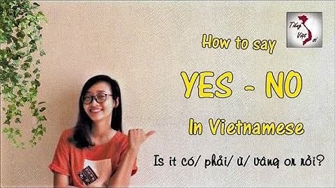 Learn Vietnamese with TVO | YES/NO in Vietnamese