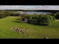 In Polish Lake Region City Folk Becoming Cheesemakers AFP In Polish Lake Region City Folk Becoming Cheesemakers AFP