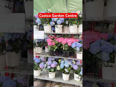 Garden Centre at