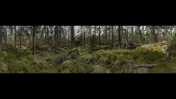 OHFN0609PT | Default Video Title Updated