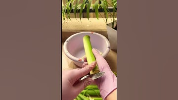 Taro stem peeling technique using simple tools #shorts