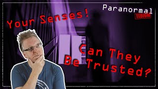 Why Do People Think They See Ghosts | Vlogs | Paranormal Tedium