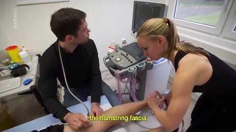 Fluid Tissue - Fascinating Fasciae