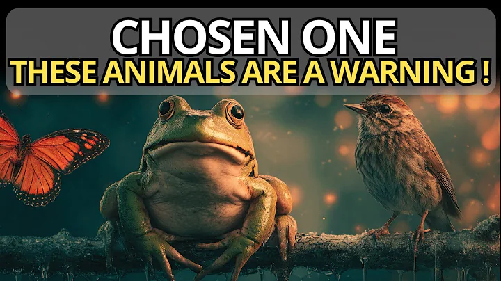 5 Animals That Appear During Your Spiritual Awakening (Don’t Ignore Them!)
