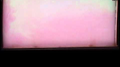 Horizontal Convection (Solute)