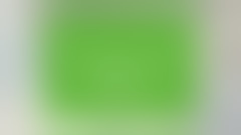 New Google Ads Search Certification Assessment Answers | Google SkillShop updated