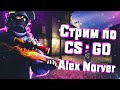 CS GO присоединяйтесь 😊Розыгрыши каждый день😊