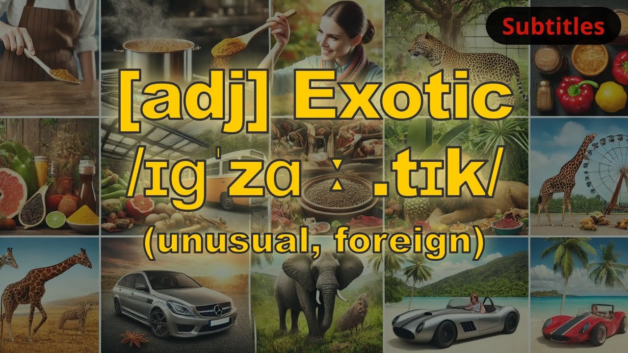 [adj] Exotic meaning (unusual, foreign) with 5 examples - YouTube