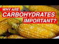 Carbohydrates and Their Impact on Health and Nutrition