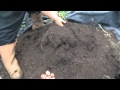 Potato Reveal 12 714 Potato Reveal 12 714