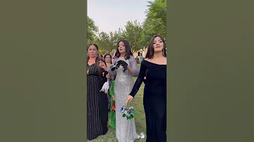 ياحته من قلبي سليم سالم 