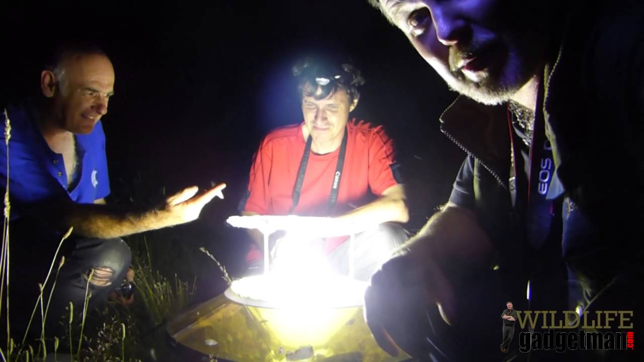 camera iphone 8 plus apk Wildlife Gadget Man - Moth Survey 18/07/14