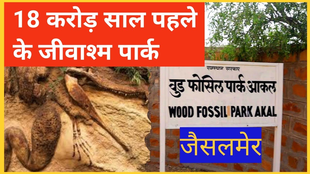 Exploring Akal Wood Fossil Park Jaisalmer || 18 करोड़ साल पहले का जीवाश्म उद्यान देखो