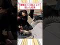 爆睡ネッコを起こして撮った結果#2ch動物スレ #猫動画 #猫のいる暮らし