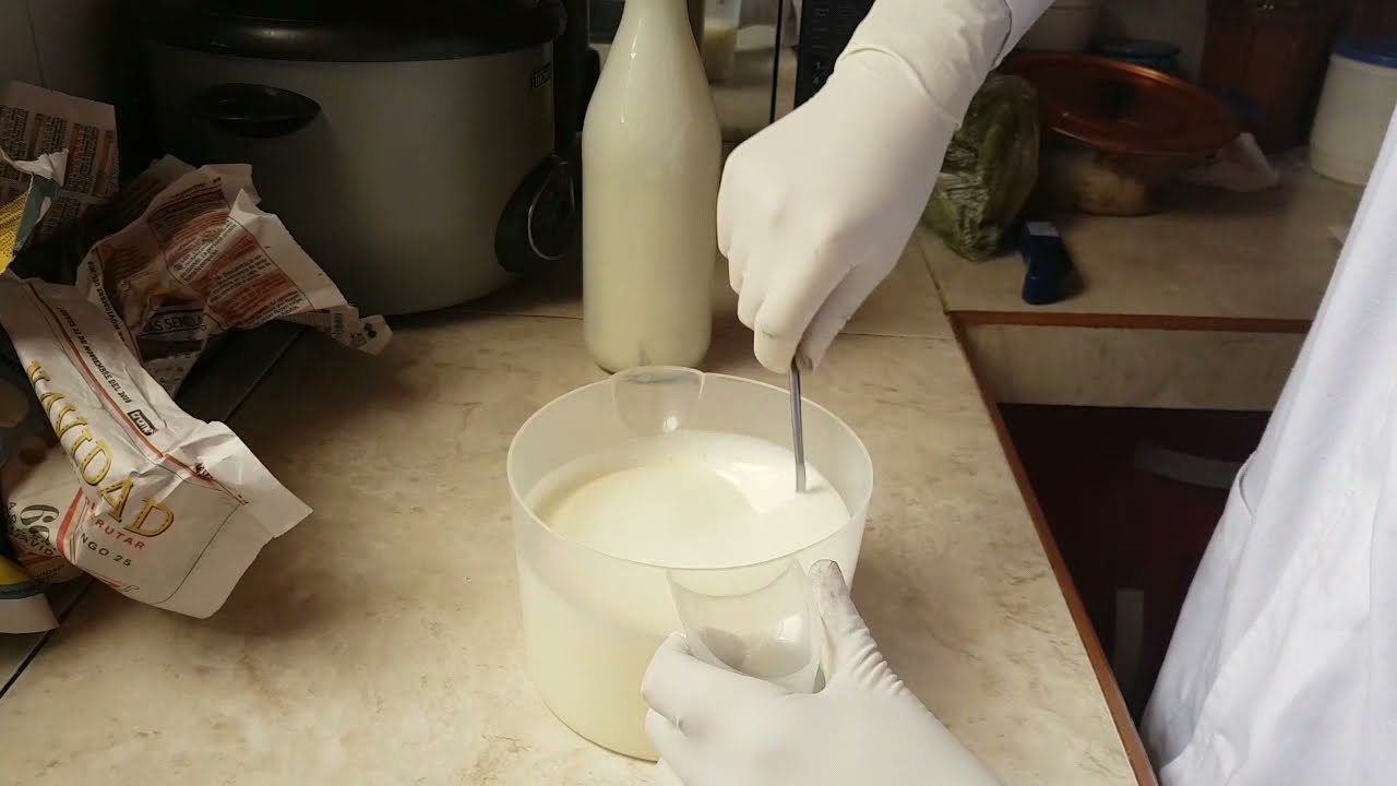 PROCESO DE ELABORACIÓN DEL YOGUR NATURAL DOP YouTube PROCESO DE ELABORACIÓN DEL YOGUR NATURAL DOP YouTube
