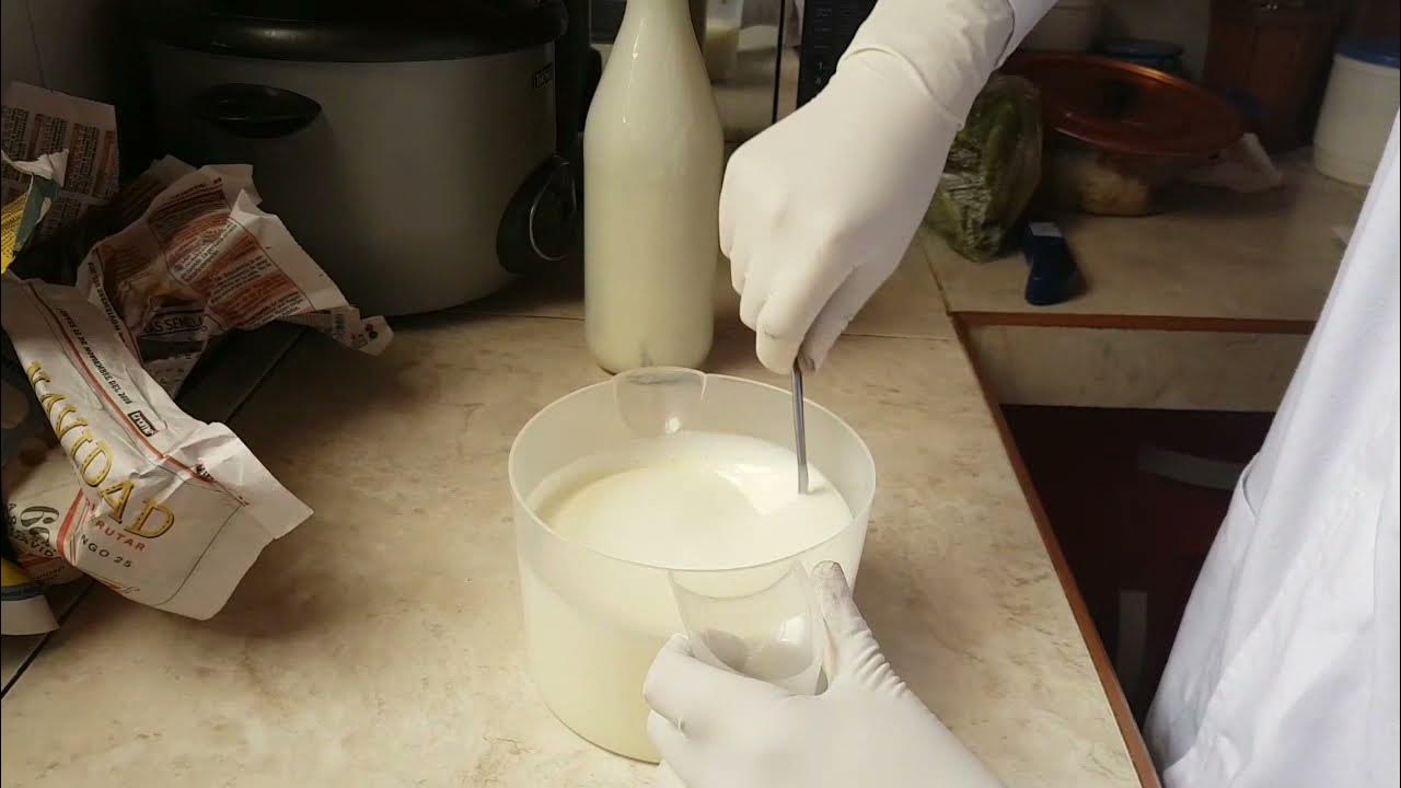 PROCESO DE ELABORACIÓN DEL YOGUR NATURAL DOP YouTube