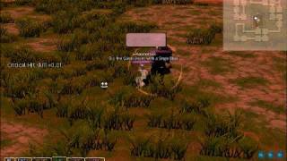 Skyjouzu : Paladin PD - Coill Boss -