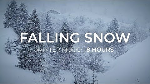 Winter Mood | 8 Hours of Snow Fall for Relaxation & Meditation
