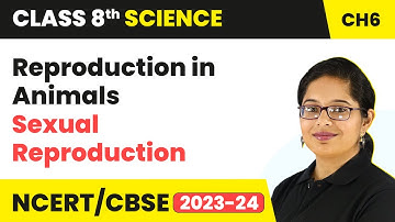 Sexual Reproduction - Reproduction in Animals | Class 8 - Science - Chapter 6
