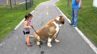 Cute little girl with her big dog