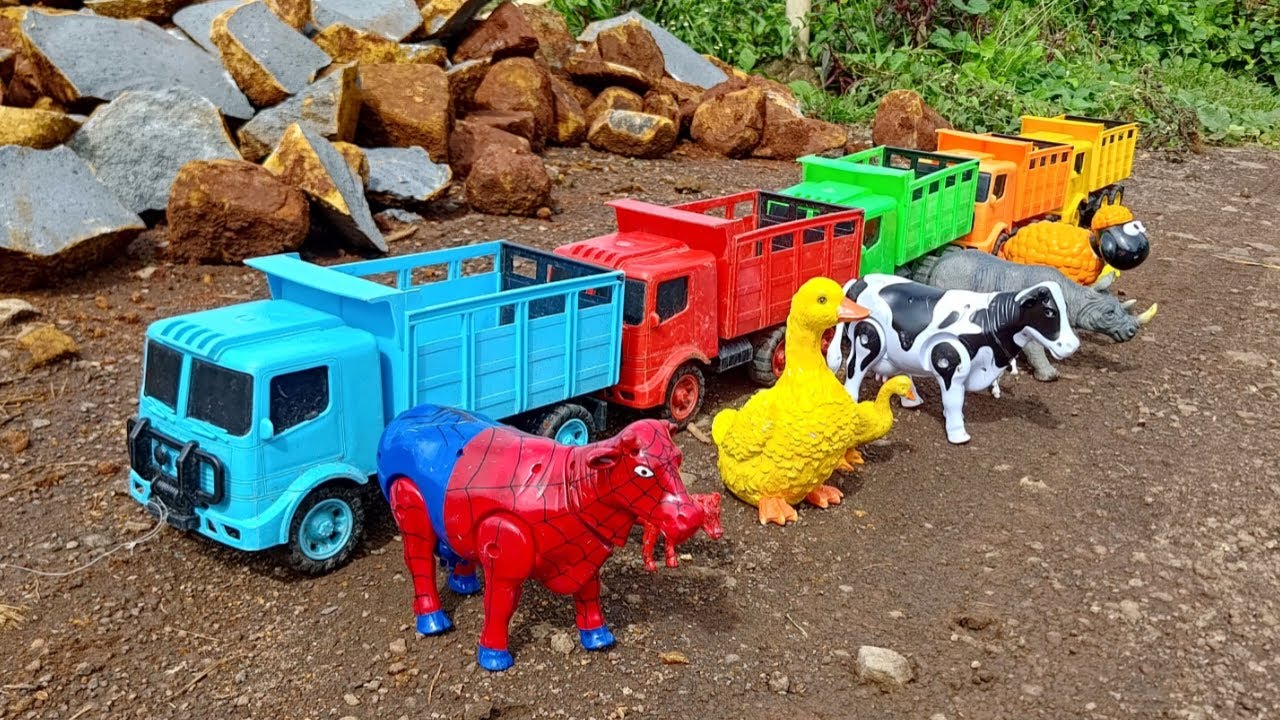 Angkut Sapi Bebek Badak Kambing dengan Truk