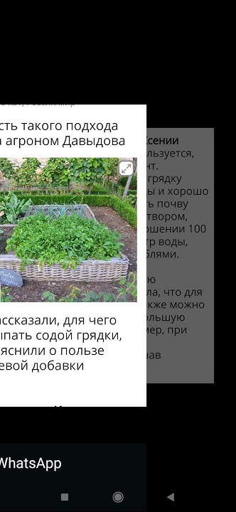 Хороший совет для дачника. - YouTube