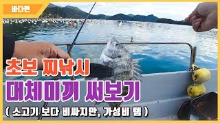 [다리tv] 초보 감성돔 찌낚시!!! 대체미끼 !!! ☆ 참겟지렁이(혼무시)미끼 ☆