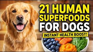 21 Human Foods That Instantly Make Your Dog Healthier… And Vets Don’t Want You To Know