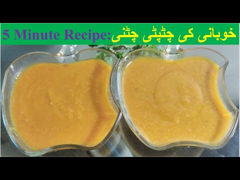 khubani-ki-chutney-recipe-in-urdu/-apricot-chutney-dry-fruit-desserts-/-2019-[quick-recipe]--gsk