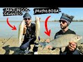 Camping NEGO | MUCHISIMO PEJE y BOGA | Pesca en Mazaruca | Pesca | Pesca en Ibicuy | Fishing.