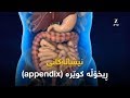 نیشانه كانی ڕیخۆڵە كوێرە Appendix 