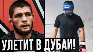 ХАБИБ ПРОВЕДЕТ ПОДГОТОВКУ К БОЮ С ГЭТЖИ В ДУБАИ / ДЖОН ДЖОНС ОСТАВИЛ ТИТУЛ UFC