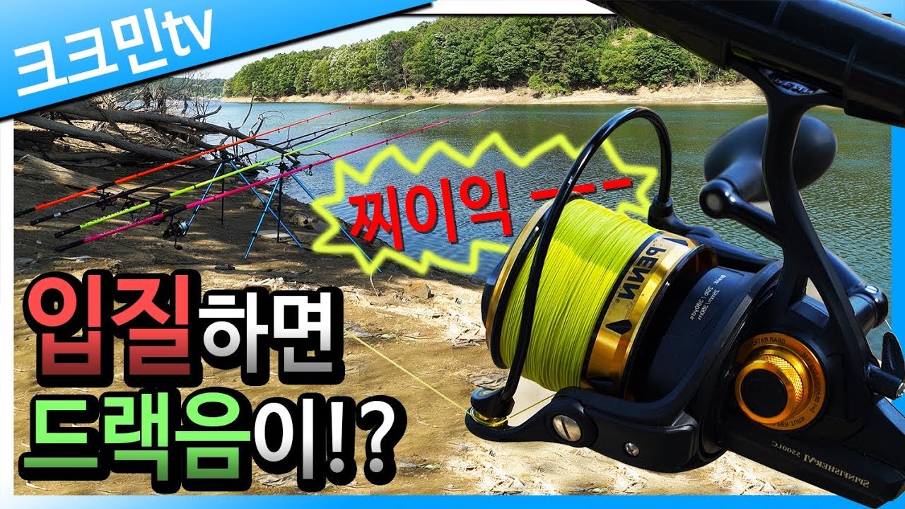 Ловля карпа в водоеме