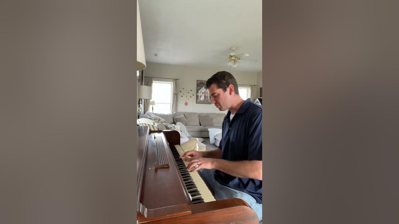 Through the Trees By David Tolk on the Piano #pianocover #pianosong #piano