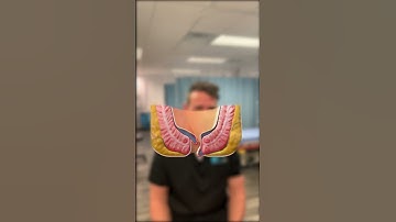 Internal vs External Hemorrhoids: What